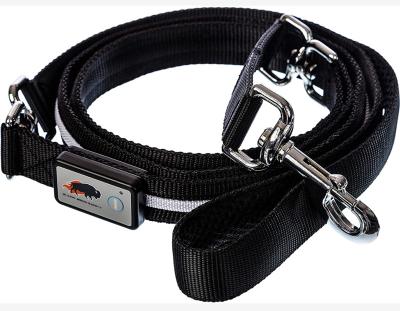 China Custom Made in China Top Quality Black LED Lighting Dog Leash for sale