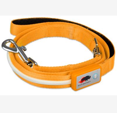 China Custom Made in China Top Quality Orange LED Lighting Dog Leash for sale