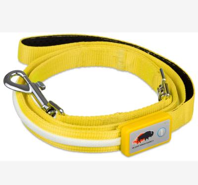 China Custom Made in China Top Quality Yellow LED Lighting Dog Leash for sale