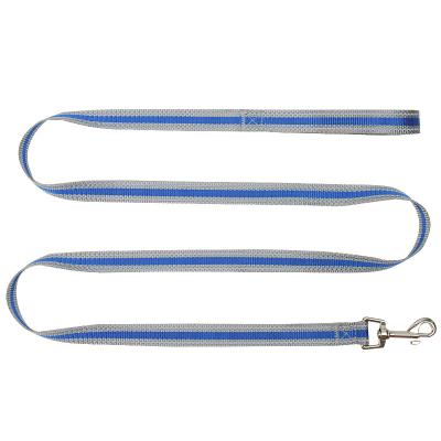 China Good Quality Fashion Dog Viable Promotional Comfortable Reflective Tape Strong Dog Leash for sale