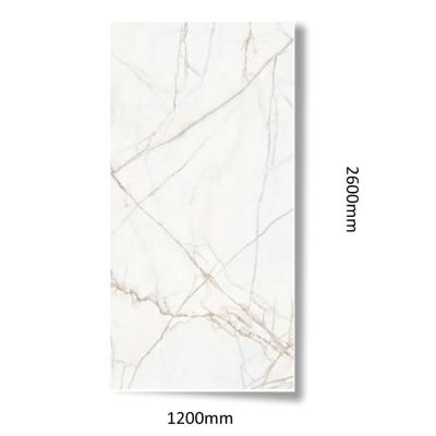 China Big Slab Modern Porcelian Flooring Tiles 1600x3200 Large Size Design for sale