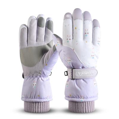 China Women Men Outdoor Mountaineering Ski Gloves Thick Touch Screen Waterpoof Waterproof Non-slip Climbing Gloves for sale