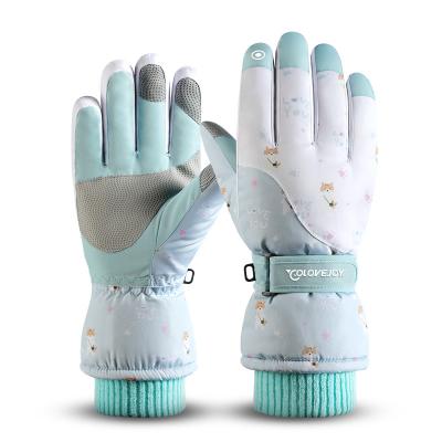 China Waterpoof Ski Gloves Waterproof Hand Glove Snowboard Windproof Women Skateboard Heated Heated Gloves for sale