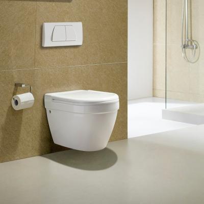 China Wholesale Tank Wall Hung Bathroom Toilet One Piece Sanitary Ware Concealed Toilet for sale