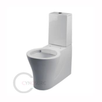 China Double-flux CY2131-CE approved! HOT SALE Siphonic WC Washdown Two Piece Toilet Back to Wall Vitreous China Sanitary Ware for OEM/wholesale for sale