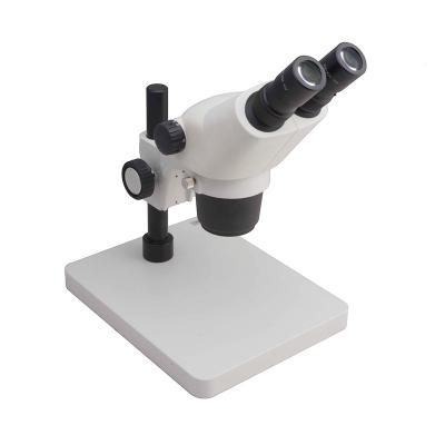 China Jewelry And Diamond Pole Stand 8x-50x Zoom Stereo Binocular Microscope for sale