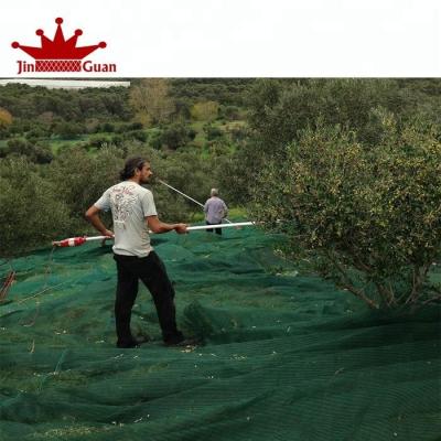 China China rete antispina olive harvest olive net green color plastic agriculture olive manufacturing for sale