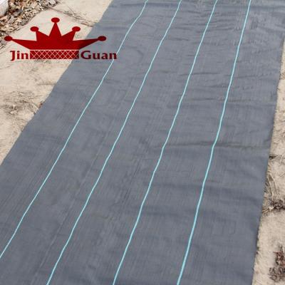 China PP plastic plant cover for weed control anti weed agriculture net weed mat for sale