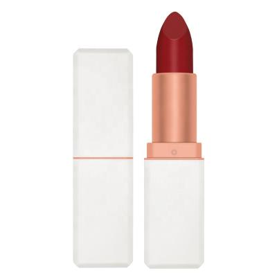 China Private Label Lipstick Long Lasting Cosmetic Waterproof Matte Lipstick OEM Custom Made for sale