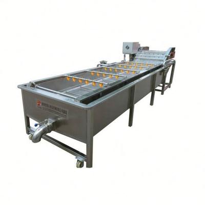 China Effficient Salad Vegetable Production System Industrial Vegetable Washing Cutting Drying Processing Line for sale