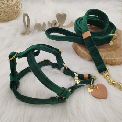 China Padded No Pull Step In Velvet Y Style Adjustable Strap Dog Harness Leash Set With Gold Metal Buckle for sale