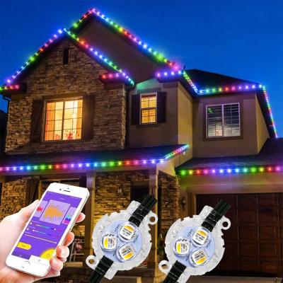 China Christmas Lights Led Pixel Light Decoration String Light 30mm 50mm RGB Rgbw 12v 24v Smart Balance Lights Christmas Decoration Supply Christmas Lights for sale