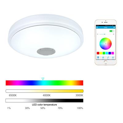 China Modern Smart Led Music Ceiling Lamp Starlight Music With Speaker Dimmable 36W Color Changing Hang Light for sale