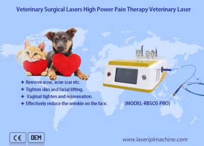 China Pets Pain Recovery Surgical 980nm Diode Laser Veterinary Therapy Laser Device for sale