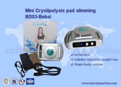 China Home Use Mini Cryolipolysis Machine 220v / 110v Slimming for sale