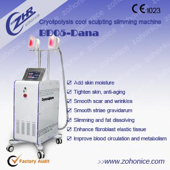 China Fat Freezing Cryolipolysis Slimming Machine Beauty Salon Use With 2 Big Handles for sale