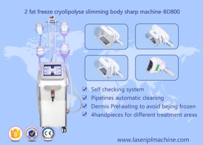 중국 기계, Lipo Cryo Cryolipolysis 아름다움 장비를 체중을 줄여 모양 몸 Cryolipolysis 판매용