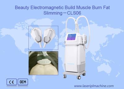 China Fat Loss Magnetic 220v Electromagnetic Laser IPL Machine for sale