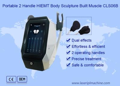 China 300us Portable 2 Handle Hiemt Beautiful Muscle Machine for sale