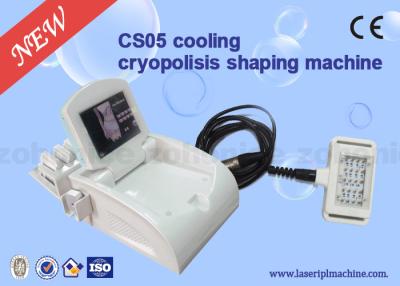 China Máquina refrigerando multifuncional do emagrecimento do corpo de Cryolipolysis para o salão de beleza à venda