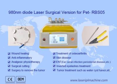 China Versión quirúrgica del diodo de 980 nanómetro del laser del retiro portátil del pelo para la belleza del animal doméstico en venta