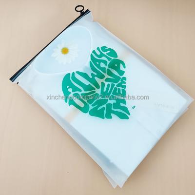 China Hot Sale Custom Size Color Logo Moisture Proof Biodegradable Plastic Plastic Zip Bag Bags Zipper Lock Bag for sale