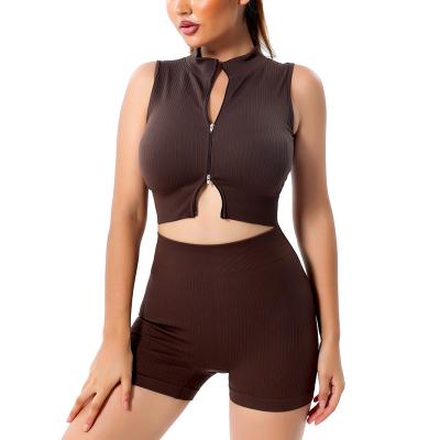 China Hot Selling Breathable Women Workout Fitness Gym Wear Ribbed Seamless Sports Bra Match Shorts Yoga Gym Sets Sportswear Shirts and Tops for sale