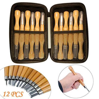 China 12pcs Ergonomic Design Wood Carving Carving Chisel Set for sale