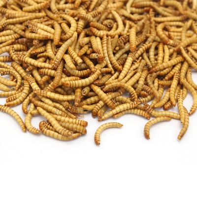 China Mealworm Viable Freeze Dried Bird Food for sale