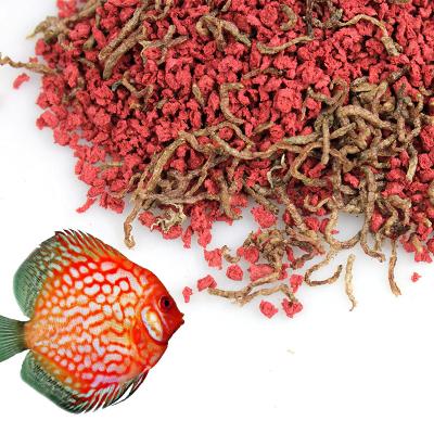 China Poorly viable for disc with bloodworm freeze-dried bloodworm disc food for sale