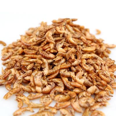 China Viable Gammarus Turtle Feed Brazilian Turtle Shrimp Dry Food Chinese Grass Turtle Grain Feed for sale