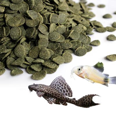 China Viable Spirulina Wafers Algae Fish Food Spirulina Tablet for sale