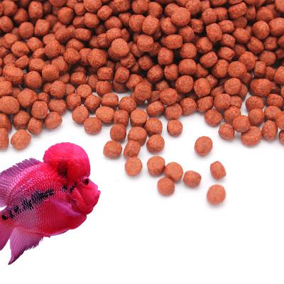 China Flowerhorn Fish Food Color Enhancer Food Viable Aquarium Fish Food for sale