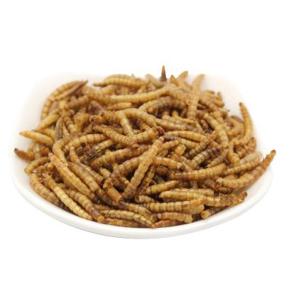 China Viable wholesale dry mealworms for turtle and aqarium fish bird food for sale