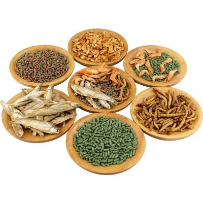 China Viable Turtle Food Dried Mealworm Shrimp Fish Mix Food For Aquatic Turtle for sale