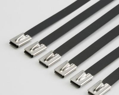 China Customizable Standard PVC Coated Stainless Steel Cable Ties 100 Pack for sale