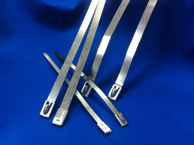 China Width 10mm Releasable Stainless Steel Cable Ties For Shipbuilding Industry for sale