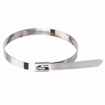 China Durable Stainless Releasable Steel Tie Wraps Clear Reusable Metal Wire Ties for sale