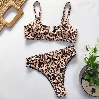 China Leopard Print Breathable Snakeskin Circle Slit Body Bikini Swimsuit Swimsuit Underwear Sexy Swimwear For Woman for sale