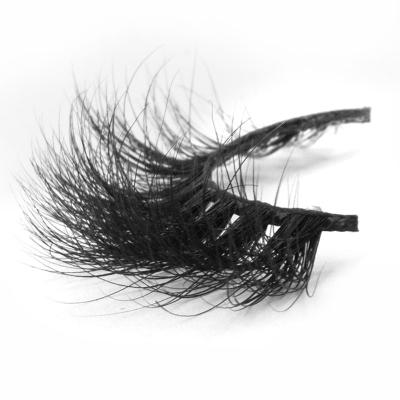 China YC volume whips 15mm D section 30mm 3D and 5D mink lashes for sale