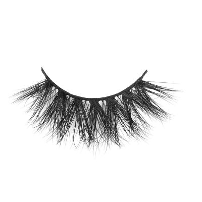 China YC volume whips 15mm D section 30mm 3D and 5D mink lashes for sale