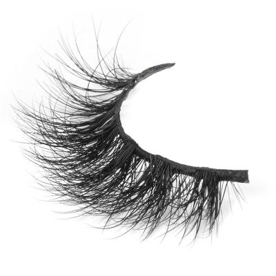 China YC volume whips 15mm D section 30mm 3D and 5D mink lashes for sale