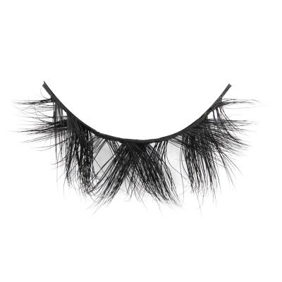 China YC volume whips 15mm D section 30mm 3D and 5D mink lashes for sale