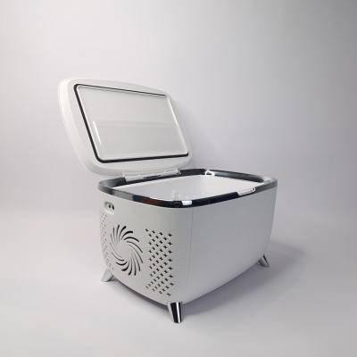 China Cosmetic room refrigerator 6 liter small mini portable THERMOELECTRIC refrigerator for sale