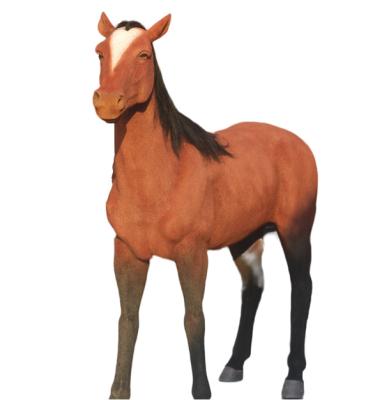 China China high quality custom made life size fiberglass horse animal sculpture for sale