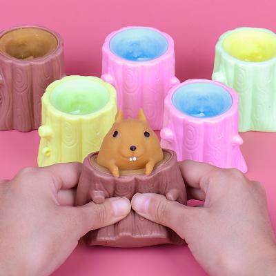 China Funny Educational Amazon Toy 2022 TPR Squirrel Noise Bubble Restless Squeeze Squeeze Sensory Toys For Kids Adults for sale