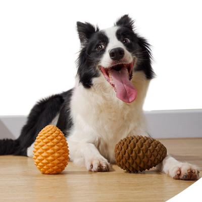 China Sustainable Natural Rubber Ball Pine Cones Shape Chew Slow Food Training Toy Pet Dog Chew Toys for sale