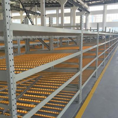 China Warehouse Rack Gravity Flow Roll Racking Systems Carton Flow Racks for sale