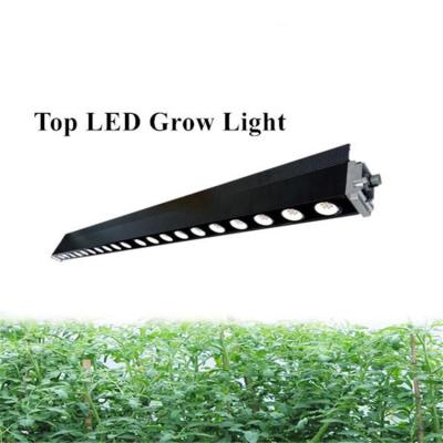 China Sow Starting Led Grow Lights, Led To Grow Light Water Cooling, Led To Grow Lights for sale