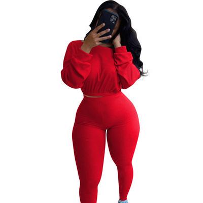 China 2021 New Anti-pilling Winter Clothes Wom New Sports Casual Two-piece High Quality Women's Sweatsuit Set for sale